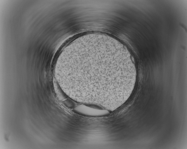 X0000099480924200806061241