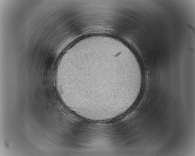 X0000099480925200806061241