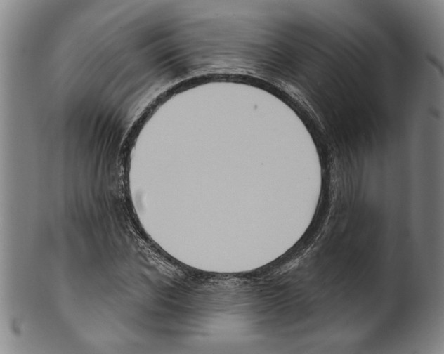 X0000099480926200806061241