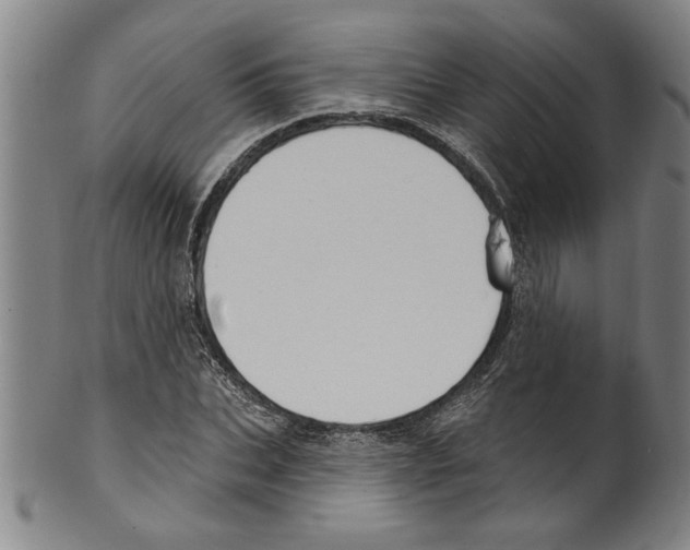 X0000099480927200806061241