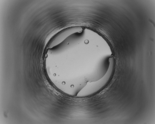 X0000099480928200806061241