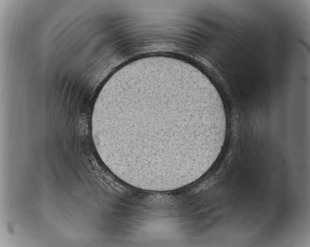 X0000099480929200806061241