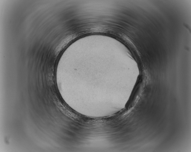 X0000099480930200806061241