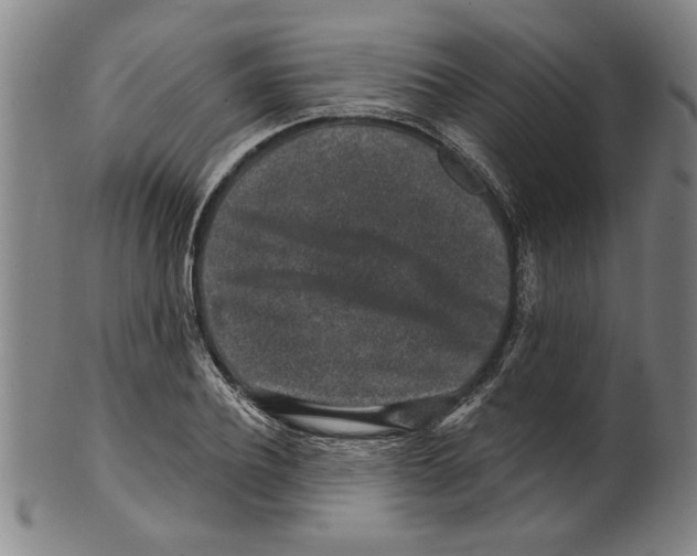 X0000099480932200806061241