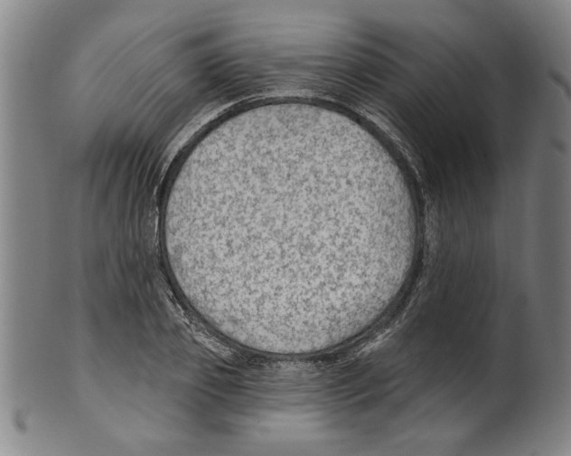 X0000099480933200806061241