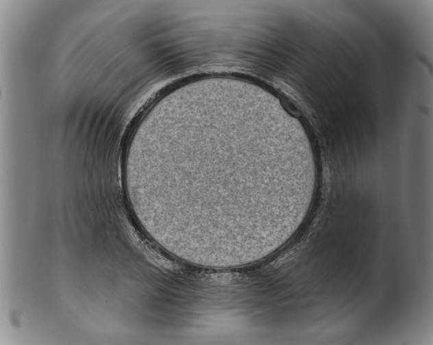 X0000099480934200806061241
