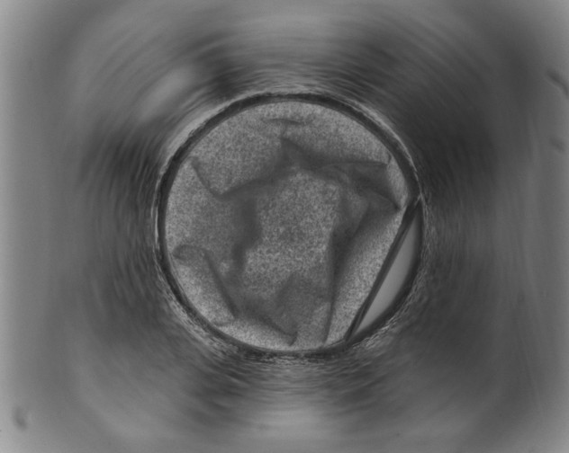 X0000099480935200806061241