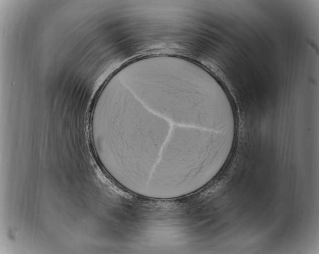 X0000099480941200806061241