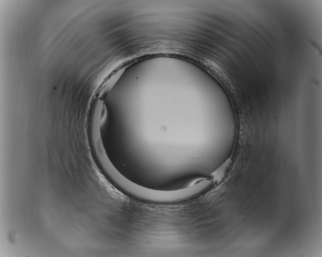 X0000099480942200806061242