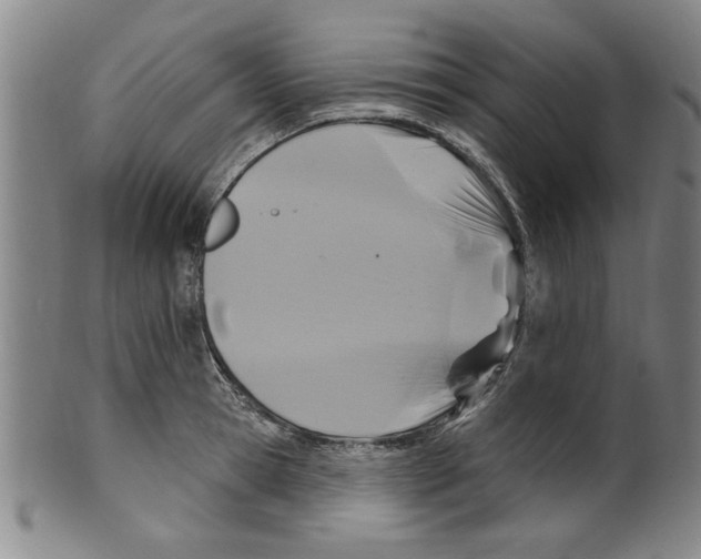 X0000099480945200806061242
