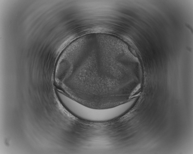 X0000099480946200806061242