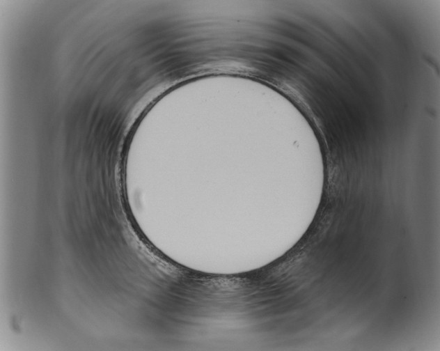 X0000099480947200806061242