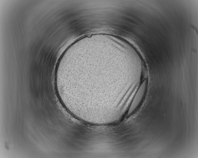 X0000099480949200806061242