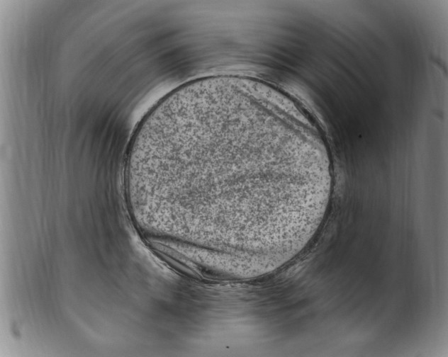 X0000099480952200806061242