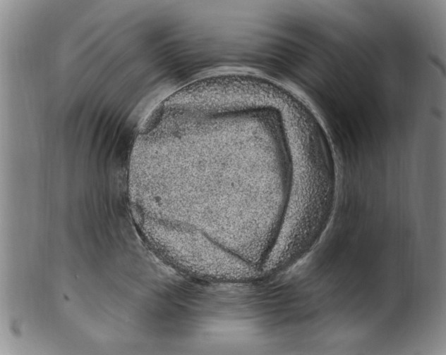 X0000099480953200806061242