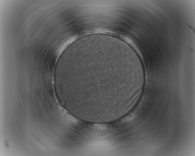 X0000099480954200806061242