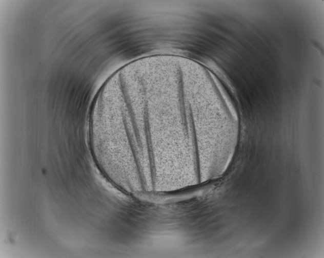 X0000099480955200806061242
