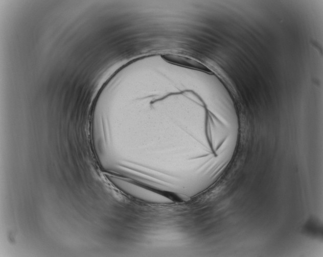 X0000099480956200806061242