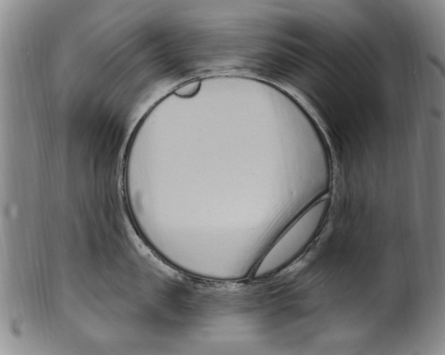 X0000099480957200806061242