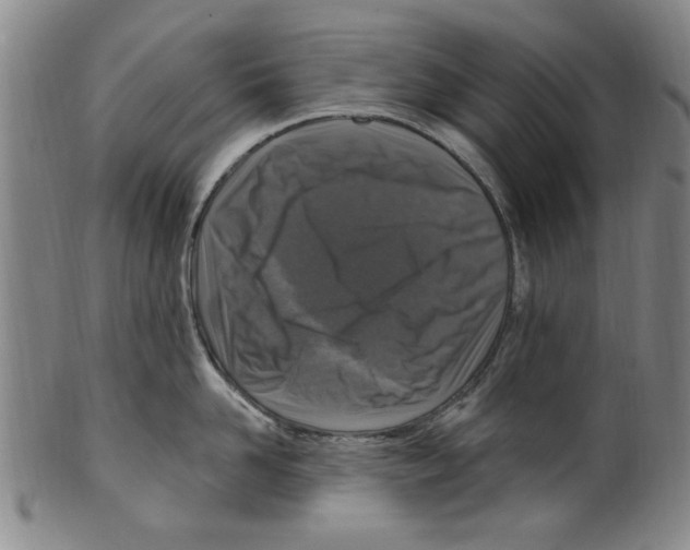 X0000099480958200806061242