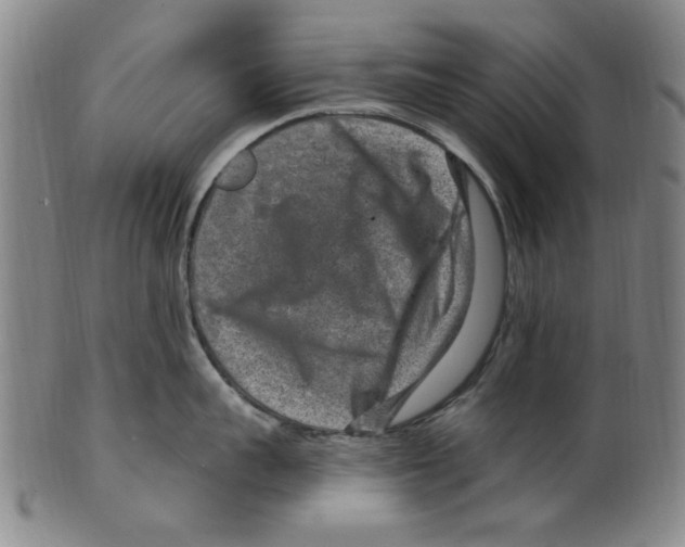 X0000099480959200806061242