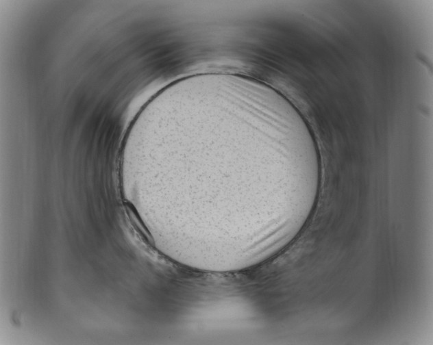 X0000099480960200806061242