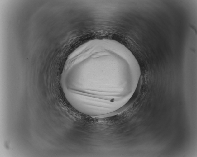 X0000099480961200806061241