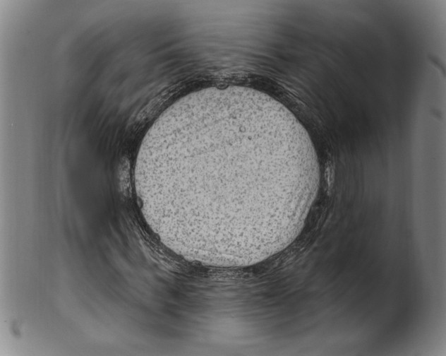 X0000099480963200806061241
