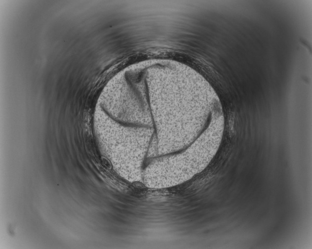 X0000099480964200806061241