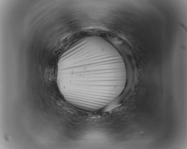 X0000099480965200806061241