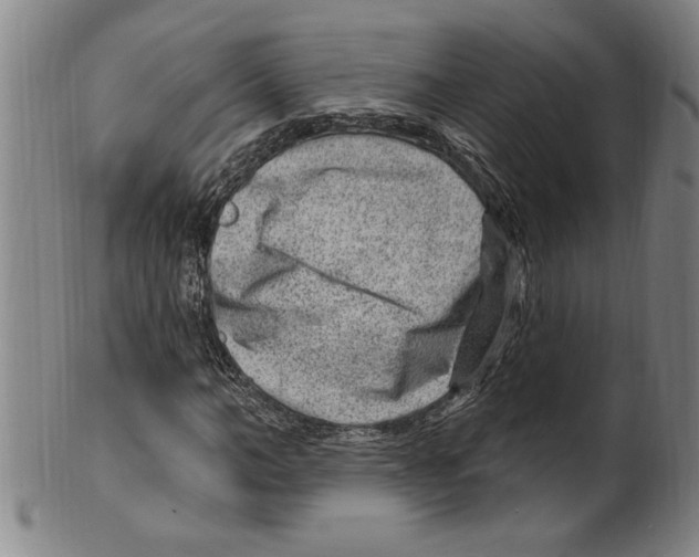 X0000099480966200806061241