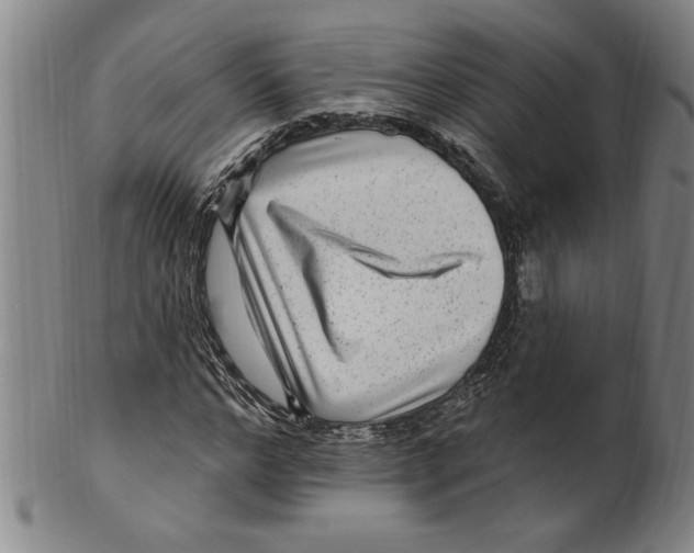 X0000099480968200806061241