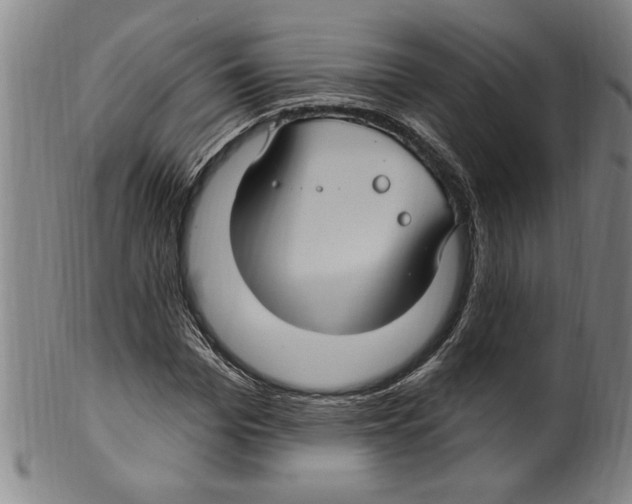 X0000099480969200806061241