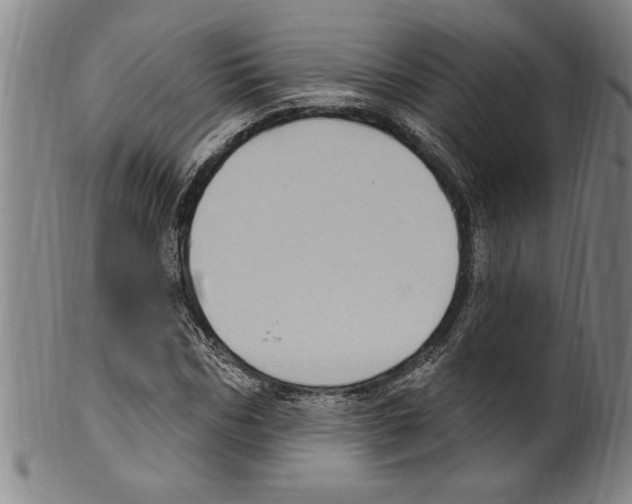X0000099480970200806061241