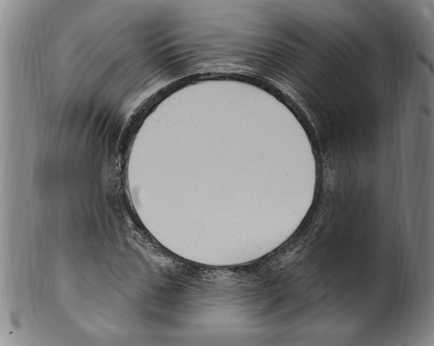 X0000099480971200806061241