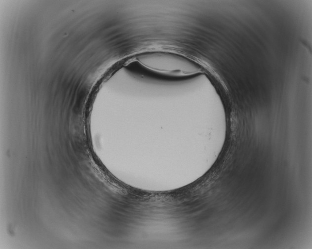 X0000099480972200806061241
