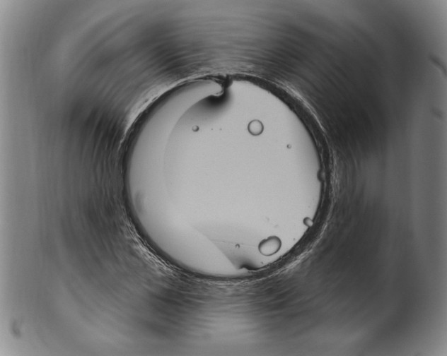 X0000099480973200806061241