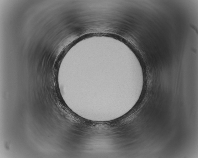 X0000099480974200806061241