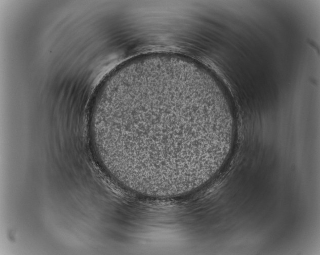X0000099480975200806061241