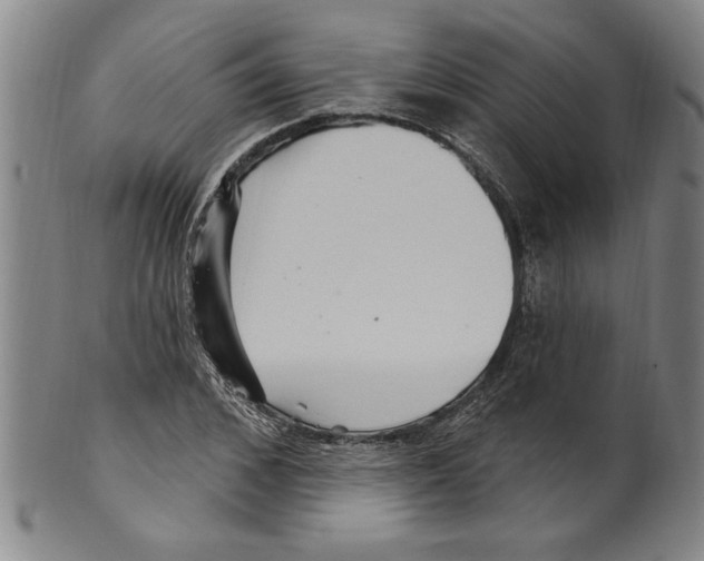 X0000099480976200806061241