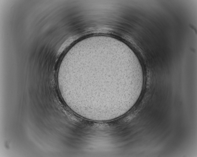 X0000099480978200806061241