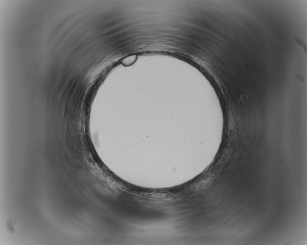 X0000099480979200806061241