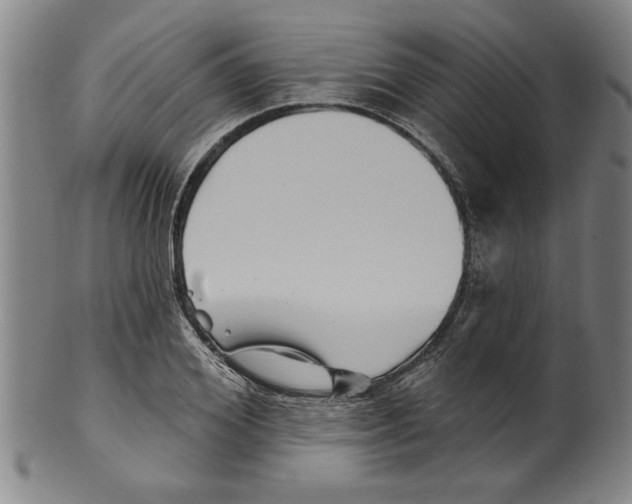 X0000099480980200806061241