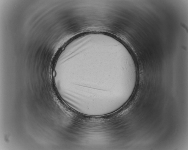 X0000099480981200806061241