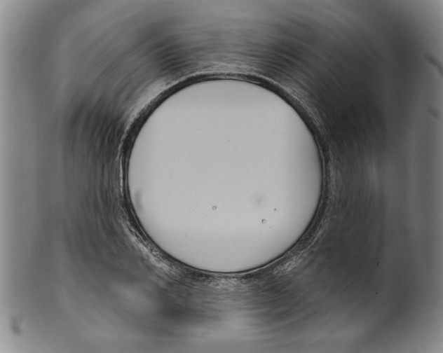 X0000099480982200806061241