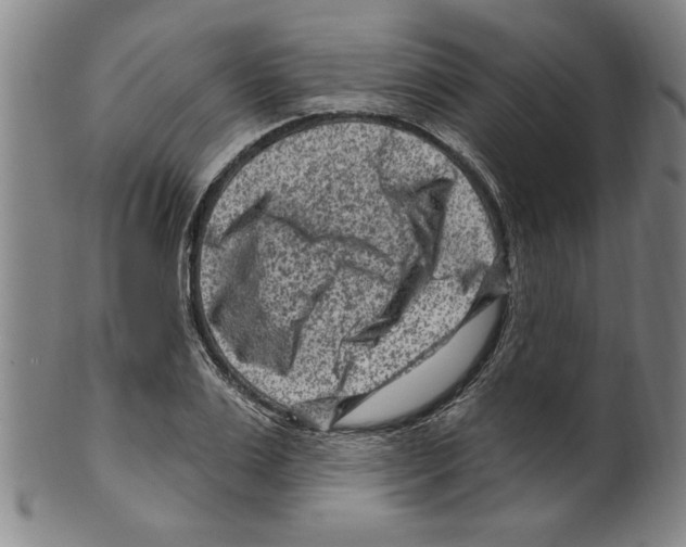 X0000099480983200806061241