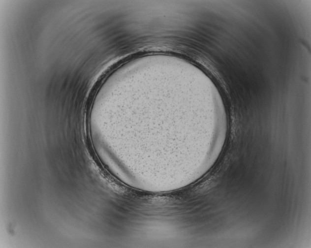 X0000099480984200806061241