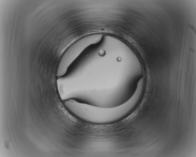 X0000099480985200806061241