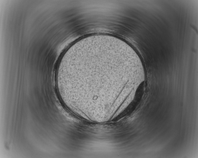 X0000099480987200806061241