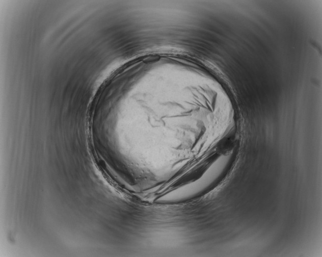 X0000099480989200806061241